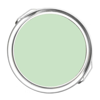 561 - Pistachio Benjamin Moore