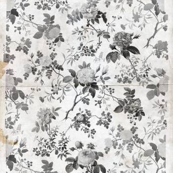 R12991 – fototapeta Simple Seedpod Rebel Walls