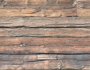 PAT_006_003 – fototapeta Taplab