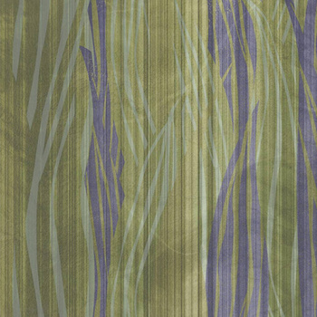 533_003 – fototapeta Rapsody Taplab